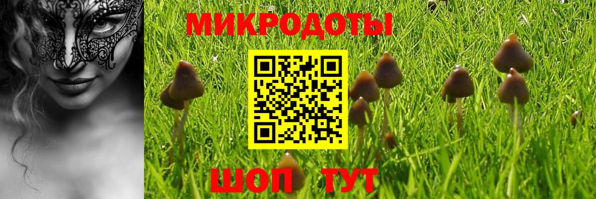Старая Купавна  Галлюциногенные грибы мухоморы  Вход с VPN 